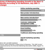 Post image for Twitter chatter: Seven Predictions for 2010 from eMarketer’s CEO
