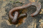 The Psychology of Linking